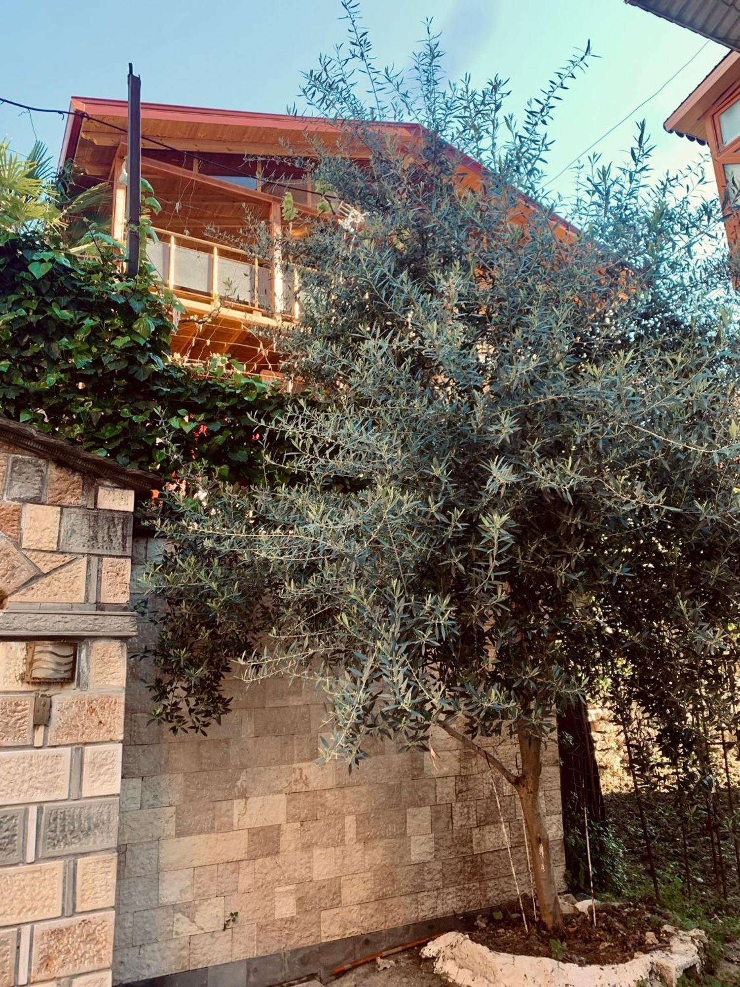 Alimeti Guesthouse Berat Esterno foto